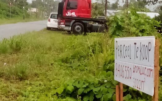 Suriname Rivier Mahadjan Adhin weg