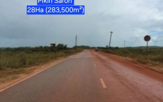 28Ha grond Pikin Saron Zanderij Para